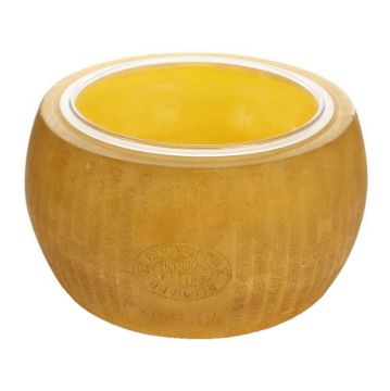Picture of Parmesan Reggiano