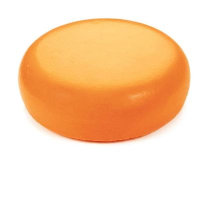 V550FFA0103_1.jpg